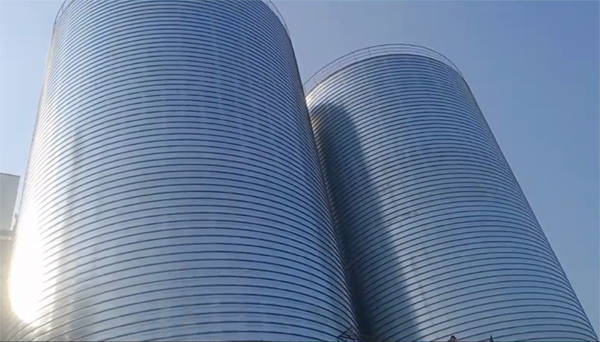 蚌埠2座混凝土高架卷板仓